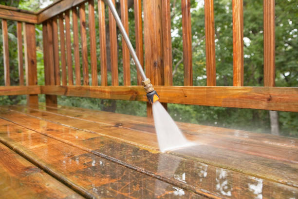 Best Roof Cleaning and Mildew Removal in Lannon, WI